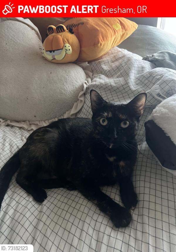 Lost Female Cat last seen Aspen Highlands apmts, Gresham, OR 97080