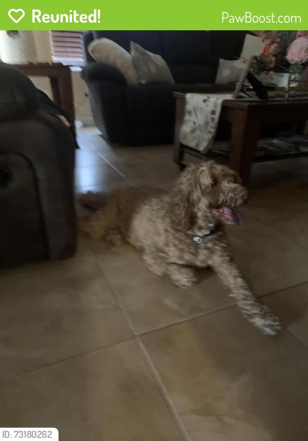 Reunited Female Dog last seen Hwy 155, Tyler, TX 75703