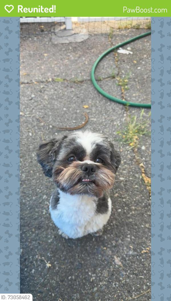 Reunited Male Dog last seen liberty park, South Salt Lake, UT 84115