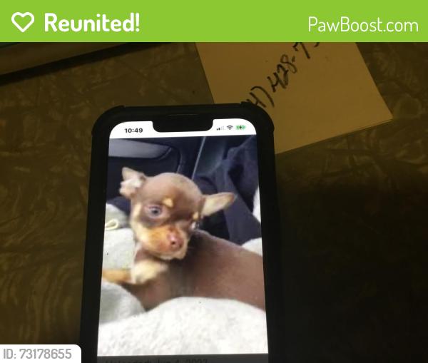Reunited Male Dog last seen Brushy Creek, Marsmen Dr,, Taylors, SC 29650