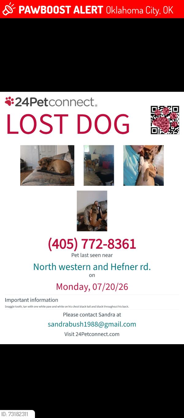 Lost Male Dog last seen Hefner and western, Oklahoma City, OK 73114