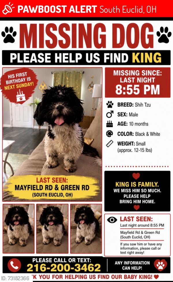 Lost Male Dog last seen Mayfield Rd Green Rd, South Euclid, OH 44124