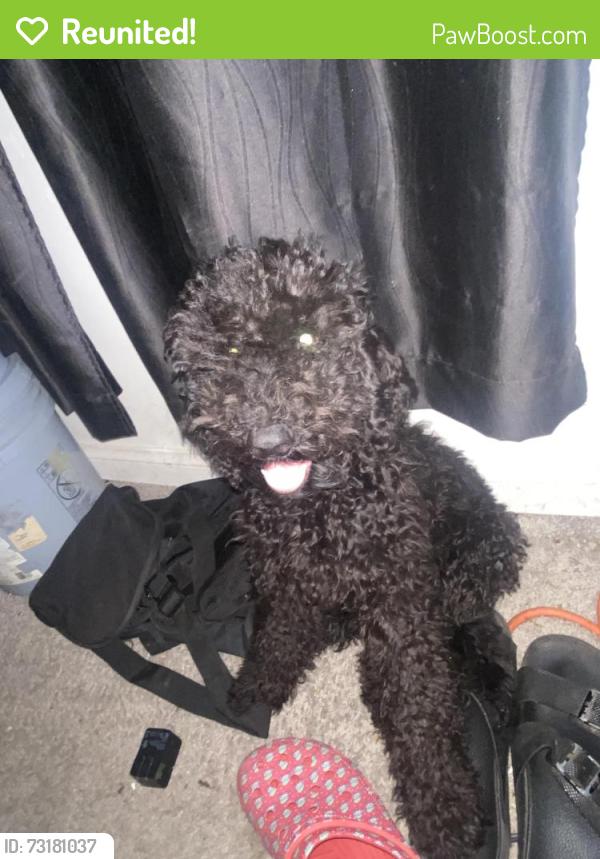 Reunited Female Dog last seen Eta street, San Diego, CA 92113