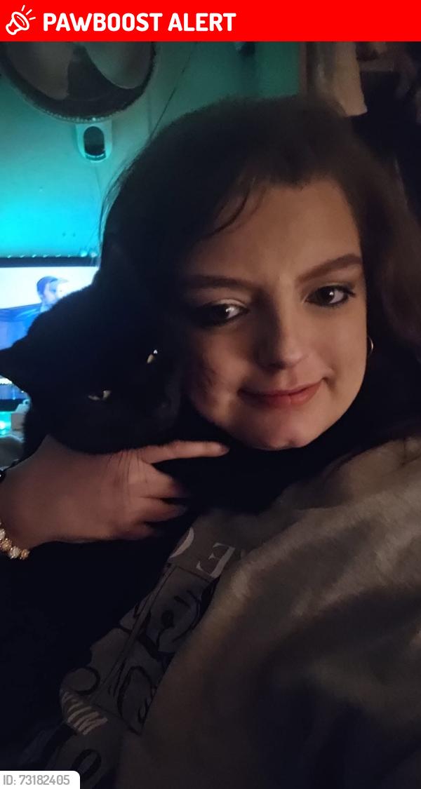 Lost Male Cat last seen Broad oak way, Broadwater, England 