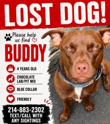 Lost Male Dog last seen Community way Santa Rosa beach, Walton County, FL 32459