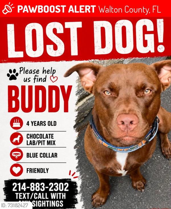 Lost Male Dog last seen Community way Santa Rosa beach, Walton County, FL 32459