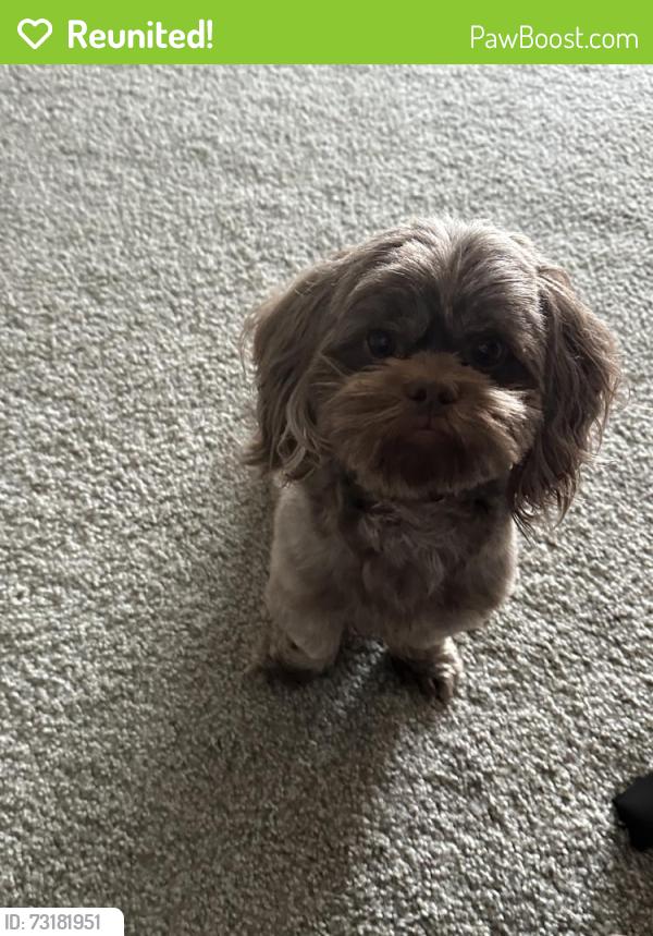 Reunited Male Dog last seen Cool Brook Ct, Louisville, KY 40291, USA, Louisville, KY 40291