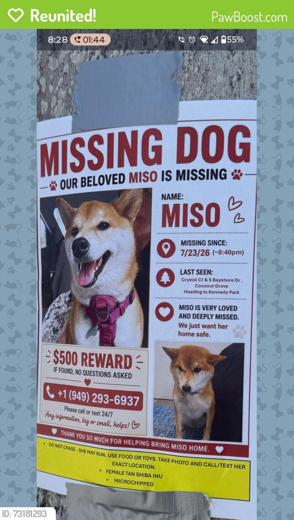 Reunited Female Dog last seen S. Bayshore Dr., Miami, FL 33133