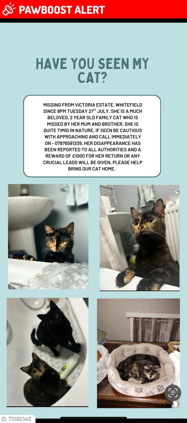 Lost Female Cat last seen Whitefield primary school, Victoria park, park 17, besses tram stop, Whitefield tram stop, m62 motorway, Whitefield, England M45 6DQ