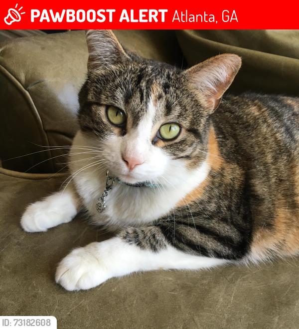 Lost Female Cat last seen doncaster rd., Atlanta, GA 30309
