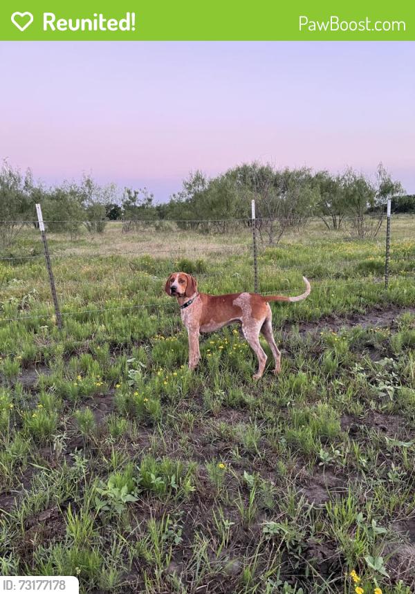 Reunited Male Dog last seen Road 64 and 3417 county road, Wills Point, TX 75169