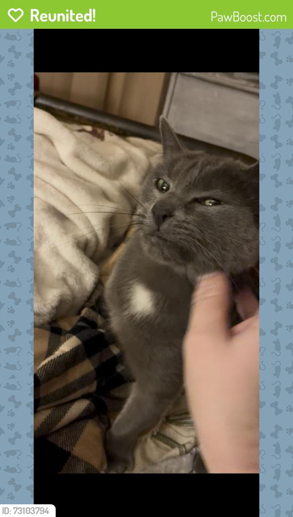 Reunited Female Cat last seen 101st and Aspen, Broken Arrow, OK 74012