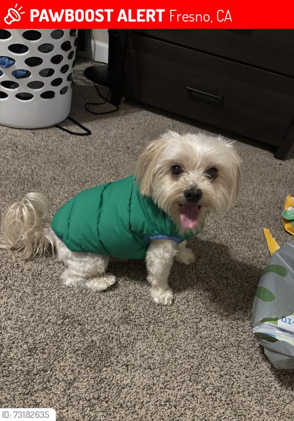 Lost Male Dog last seen Gettysburg’s and Millbrook Ave, Fresno, CA 93726