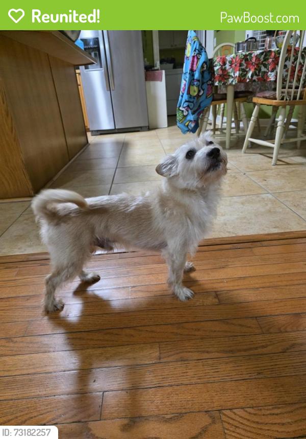 Reunited Male Dog last seen Near Sandel Ln Raleigh NC 27603, Raleigh, NC 27603