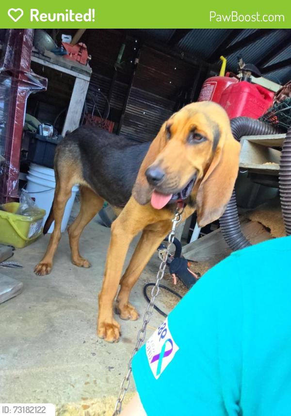 Reunited Female Dog last seen Highway 141, Gans, OK 74936