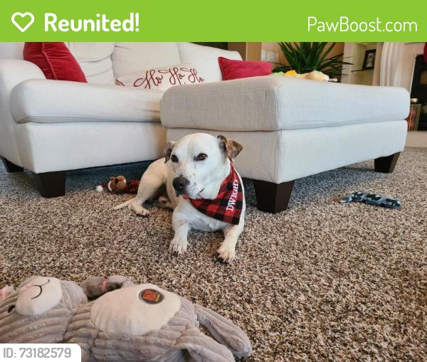 Reunited Male Dog last seen Maple Grove Parkway and 83rd Ave N, Osseo, MN 55311