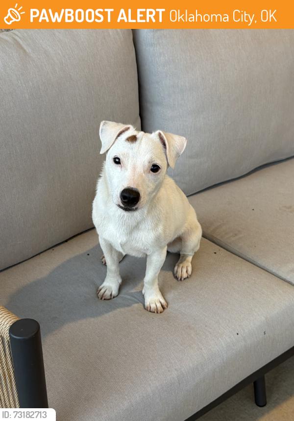Found/Stray Male Dog last seen Near SW 51st, Oklahoma City, OK 73119