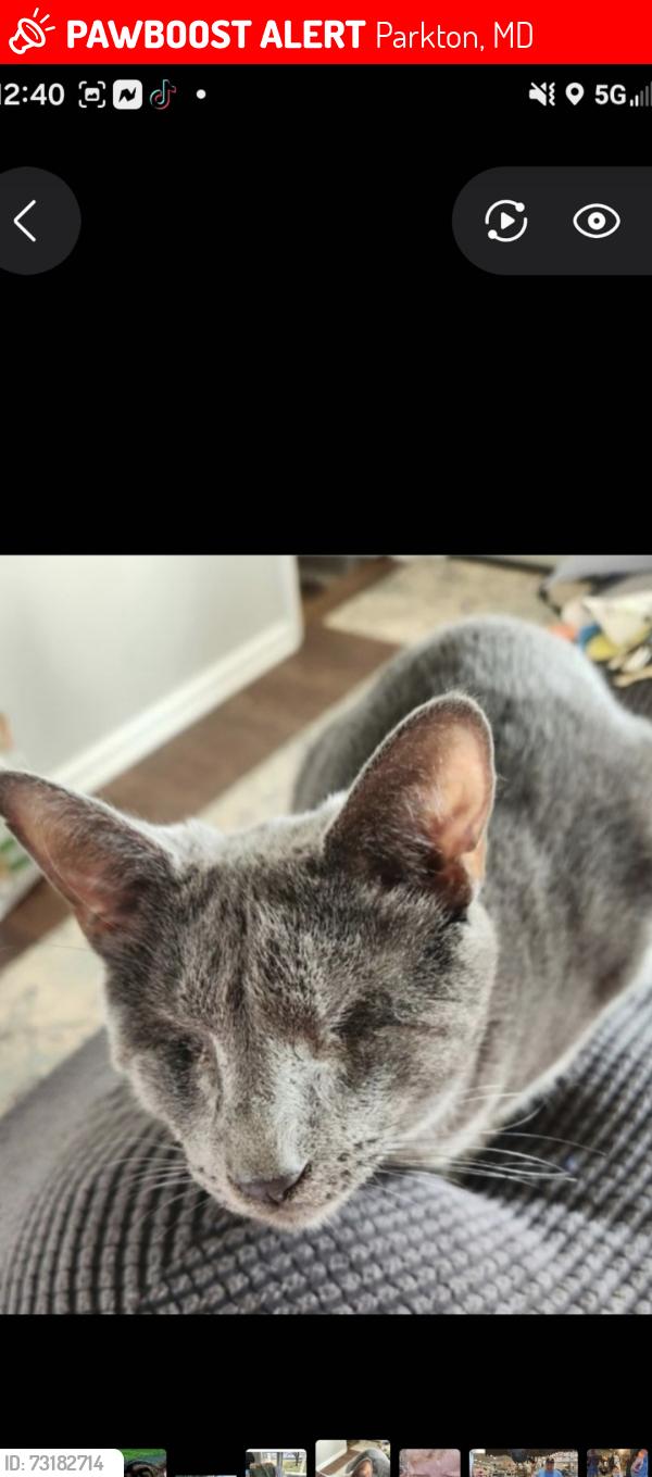 Lost Male Cat last seen forreston rd, Parkton, MD 21120