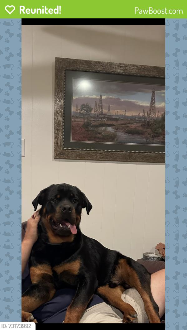 Reunited Male Dog last seen Hilton hotel, Tyler, TX 75703