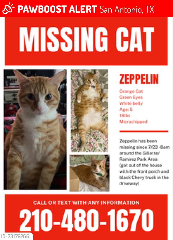 Lost Male Cat last seen Near Gillette Blvd, San Antonio Tx 78224, San Antonio, TX 78224