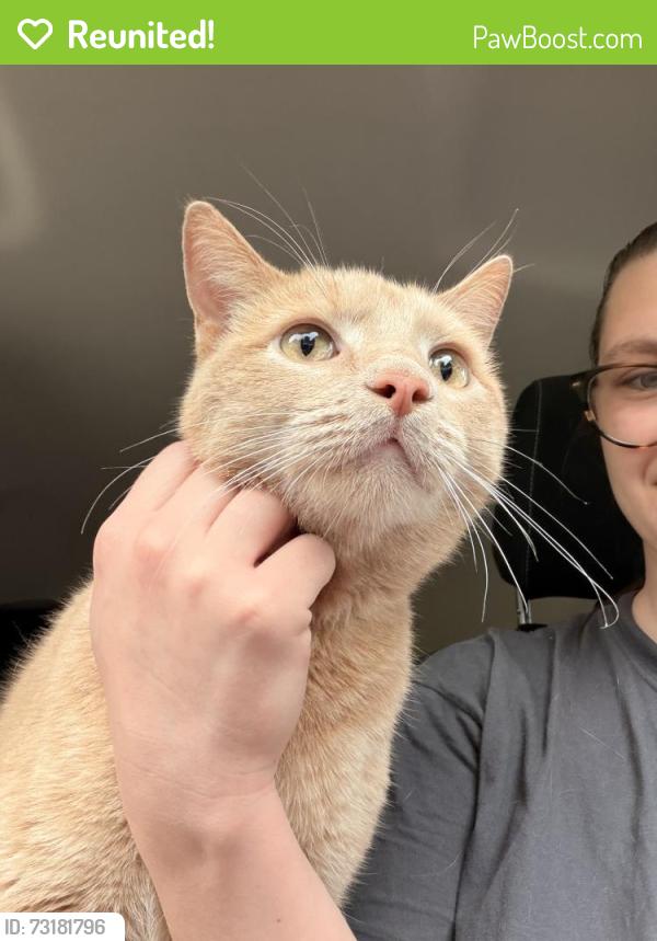 Reunited Male Cat last seen N 52nd and Lloyd, Milwaukee, WI 53208