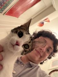 Found/Stray Female Cat last seen 50th and Market, Philadelphia, PA 19139