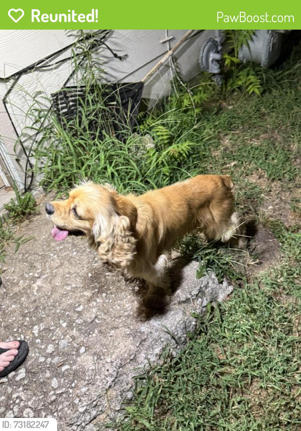 Reunited Male Dog last seen Oaklawn Dr and Jade St, Wichita, KS 67216