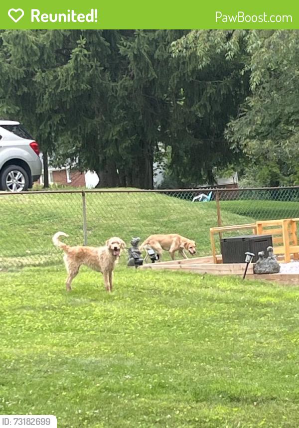 Reunited Unknown Dog last seen Sharon Dr, Homeacre-Lyndora, PA 16001, USA, Homeacre-Lyndora, PA 16001