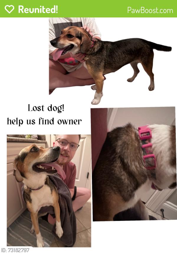 Reunited Female Dog last seen Vestavia Hills Neighborhood, Vestavia Hills, AL 35230