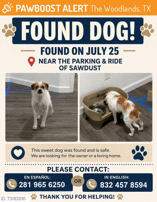 Found/Stray Female Dog last seen Park & Ride Sawdust, The Woodlands, TX 77380