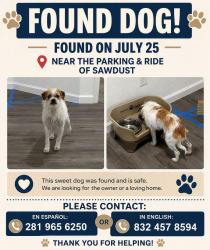 Found/Stray Female Dog last seen Park & Ride Sawdust, The Woodlands, TX 77380