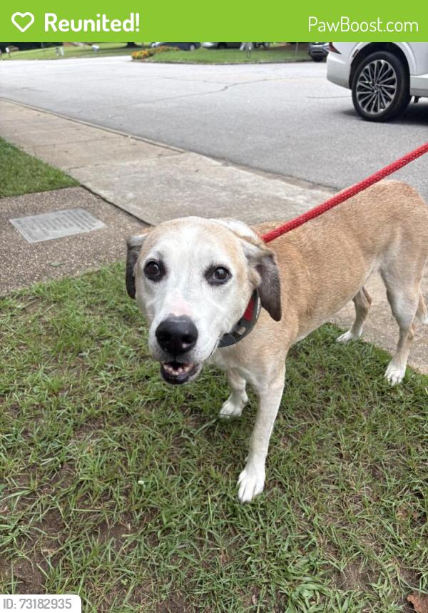 Reunited Male Dog last seen Pittard Park, Winterville, GA 30683