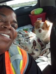 Lost Male Dog last seen Mack Road / center parkwy, Sacramento, CA 95823