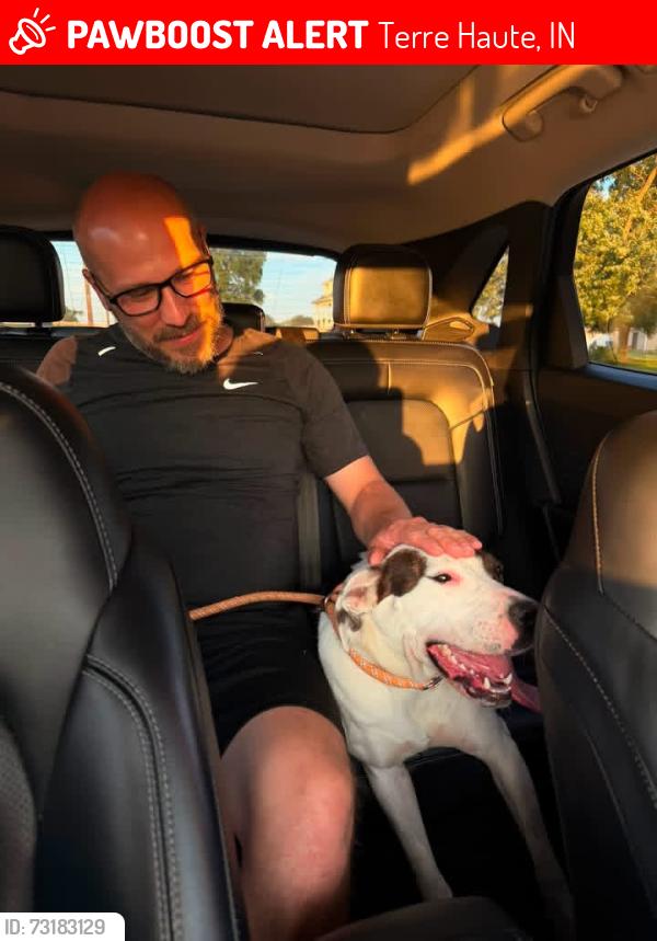 Lost Female Dog last seen Us 41 heading SOUTH towards Collett park, Terre Haute, IN 47807