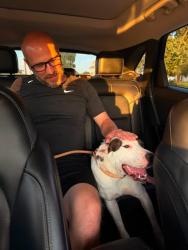 Lost Female Dog last seen Us 41 heading SOUTH towards Collett park, Terre Haute, IN 47807
