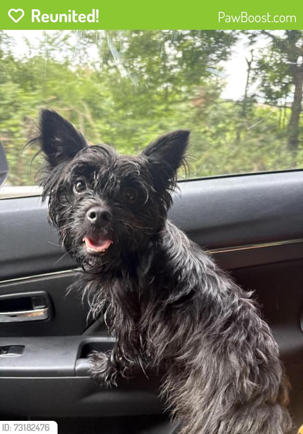 Reunited Unknown Dog last seen North Bessemer, North Bessemer, PA 15235