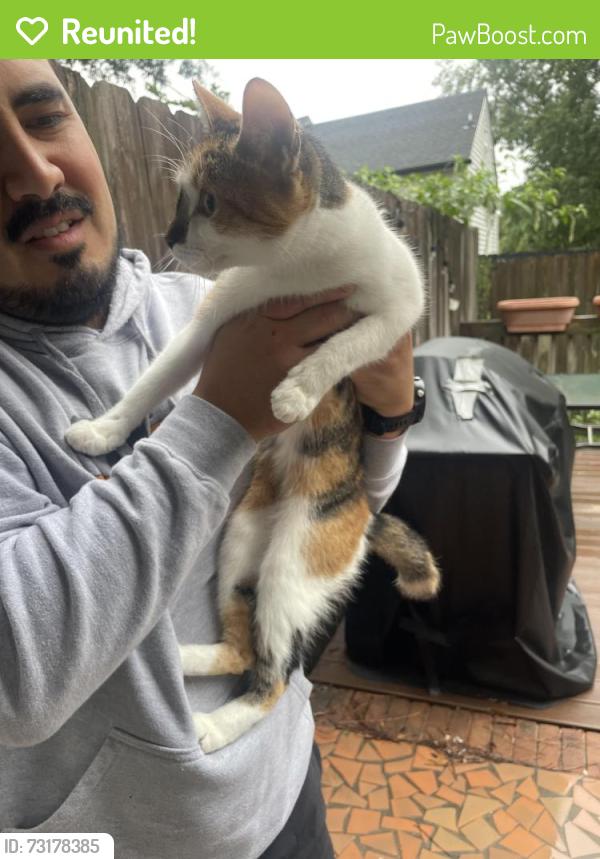 Reunited Unknown Cat last seen Near James st, Durham, NC 27707