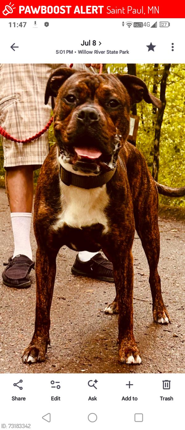 Lost Male Dog last seen Germain, John Glen middle School, Saint Paul, MN 55109