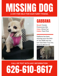 Reunited Female Dog last seen Troy Ave South El Monte ca, South El Monte, CA 91733