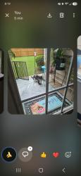 Found/Stray Unknown Cat last seen Cliffdale and reilly rd, Fayetteville, NC 28314