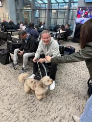 Lost Male Dog last seen Pound ridge, Pound Ridge, NY 10576