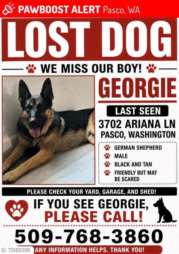 Lost Male Dog last seen Near Ariana ln, Pasco, WA 99301