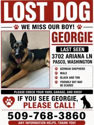 Lost Male Dog last seen Near Ariana ln, Pasco, WA 99301