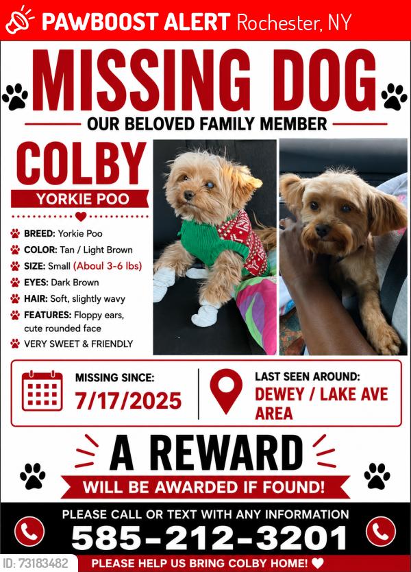 Lost Male Dog last seen Dewey/lake, Rochester, NY 14615