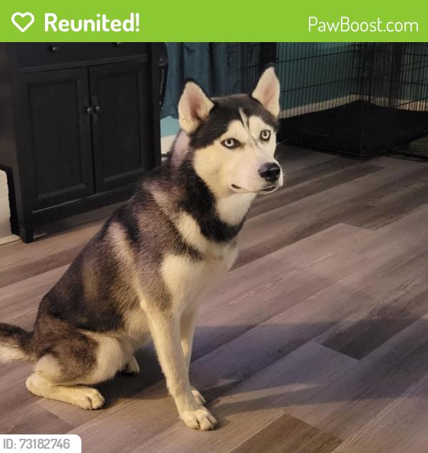 Reunited Male Dog last seen Edgewater ests, Broadway, NC 27505