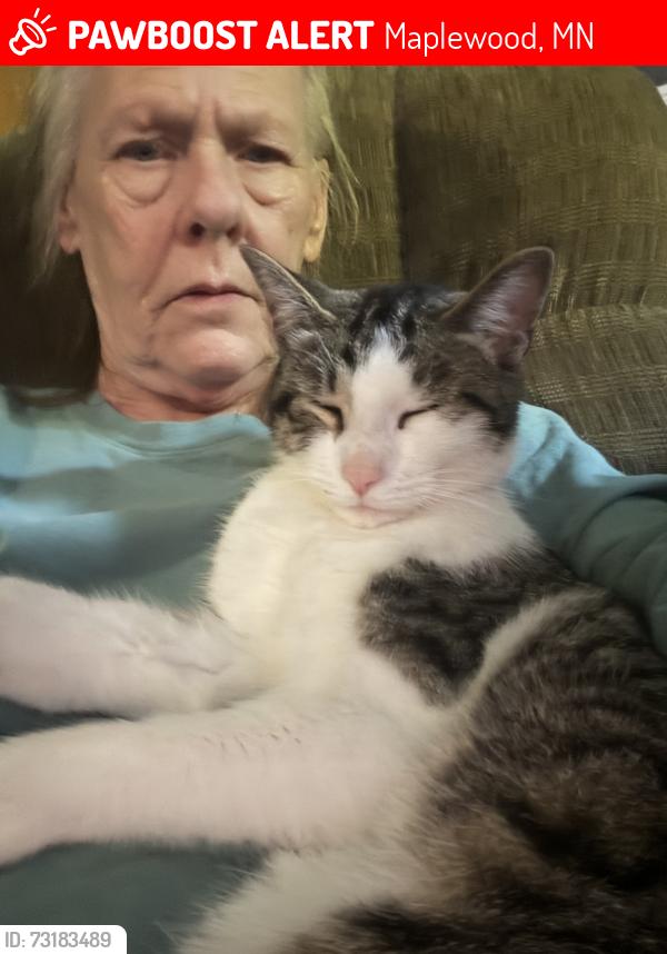 Lost Male Cat last seen Mary/minnehaha, Maplewood, MN 55119