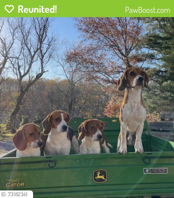 Reunited Male Dog last seen Near Mount Airy MD, Mount Airy, MD 21771