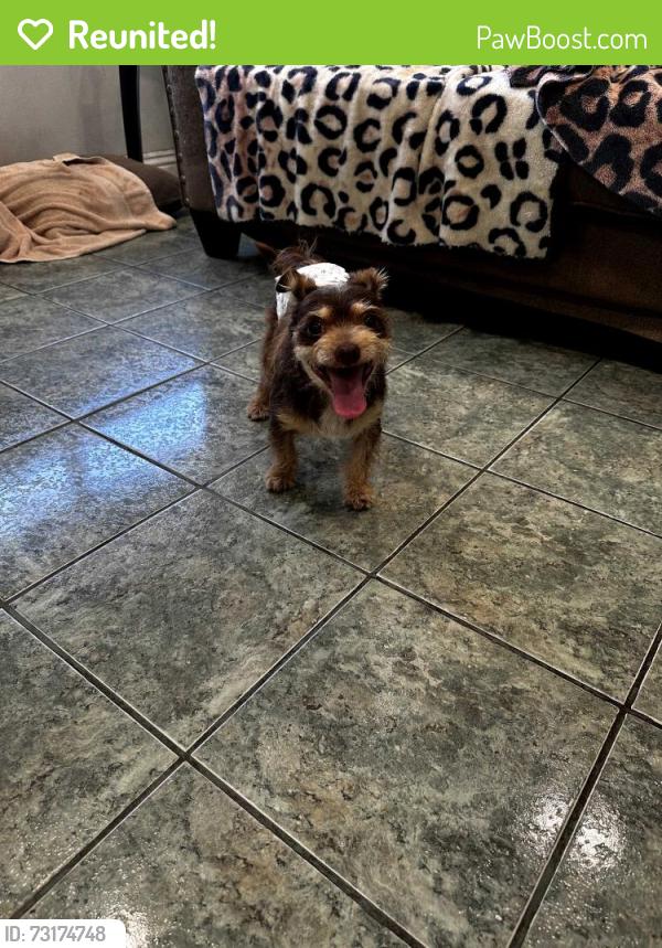 Reunited Unknown Dog last seen Lynwood, Lynwood, CA 90262
