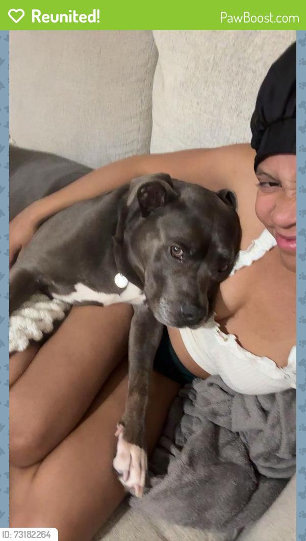 Reunited Male Dog last seen Near Battlecreek Dr Apt 9103, Fort Collins, CO 80528