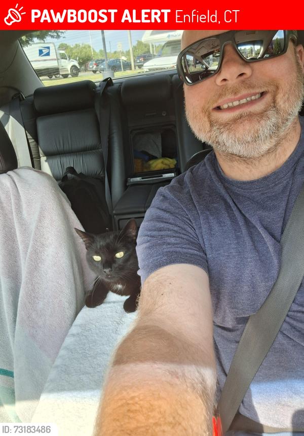 Lost Male Cat last seen Old mass mutual center in Enfield, CT. Near Mass border., Enfield, CT 06082
